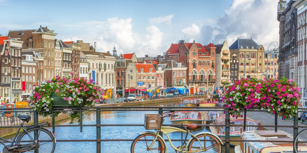 Vip_City_Tours